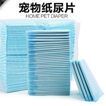 Dog Diabetes Diabetes Diabetes Diabetes Teddy Pet Mat Toilet Pet Diary Dog Dog Supplies