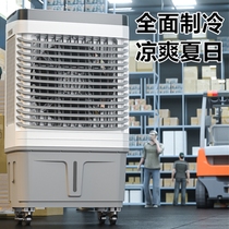 Vertical ice refrigeration fan air conditioning fan chiller industrial air conditioning fan cooling fan remote dan leng xing