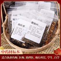 Chinese herbal medicine specimens 400 taste commonly used drugs taste returned to the efficacy of medicine parts of Origin pharmacists study 5 grams