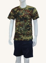 Inventory Old - Stock 01 Physical Training Costume Short - sleeve and mid - sleeve Summer T - shirt Short Short Short Camouflage