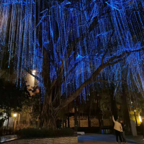 LED Outdoor Waterproof Optical Fiber Light Seven Color Discoloration Scenic Area Trees Brightly Lit and Scenery Hanging Tree Wedding decorative lights