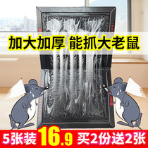 Mark Soldiers Sticky Rat Board Powerful Household Mouse Glue to intensify thickened catch and catch rat-catching mouse-one-socket end