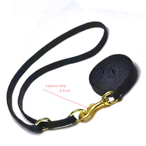 Bees new yellow pet dog medium dog with P chain ring professional thick nylon race leash belt