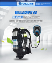 Labor safety certification Haigu RHZKF6 8 30 positive pressure air respirator Industrial respirator