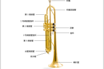 Trumpet instrument flat B tune beginner grade examination students silver plating electrophoresis gold 4335