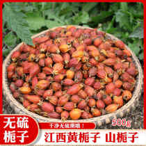 Chinese herbal medicine Gardenia 500g wild mountain Gardenia Jiangxi yellow gardenia fruit Gardenia tea branch powder edible coloring