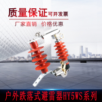 Outdoor high voltage dropout arrester HY5WS-17 50DL removable arrester 10-12KV