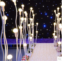 Flower Bud Dragon Ball Road Guide flexible Dragon ball lamp road lead Magnolia light bulb road lead happiness apple tree road light