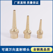 4 minutes 6 minutes 1 inch thickened all copper adjustable universal DC nozzle high water column direct water spray landscape Fountain Nozzle