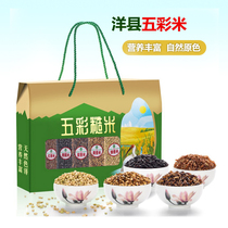 Ocean County Five colour rice gift box Shaanxi New goods West Han Chinese special production Gonmi black rice red white purple yellow fragrant rice 5-color rice gift box