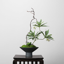 Chinese style Japanese small original flower path flower arrangement simulation green immortal Moss tea room tea space homestay model room