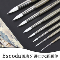 Spanish Pen King Watercolor Pen 1430PERLA Pearl White Toray Nylon Hair Round Head Watercolor Pen Short Rod
