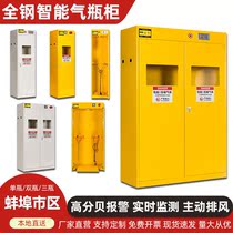Bengbu all-steel explosion-proof gas cylinder cabinet laboratory double bottle dangerous gas storage cabinet chemical safety alarm storage cabinet