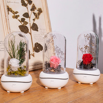Eternal flower incense colorful light LED night light Home charging USB dream atmosphere light Novel home decoration