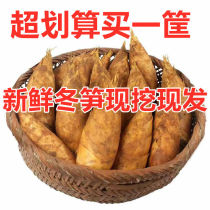 2021 spot wild winter bamboo shoots fresh 5kg fresh specialties now dug bamboo shoots spring bamboo shoots yellow mud bamboo shoots vegetables