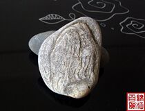 Special Price Natural Minjiang strange stone ornamental stone pattern Stone (Alpine Green)