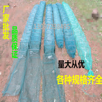 Fish net shrimp cage fishing net fishing tool automatic lobster net folding catch fish cage yellow eel cage shrimp crab Loach cage
