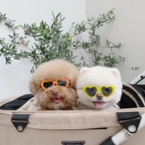 THE PAWS milk bag Belle stick Korean love pet sunglasses Dog cat with accessories Photo sunglasses
