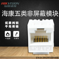 SeaConway View RJ45 Ultra Five Type Network Module Beating Type Computer Wiring Module 5 Type Information Network Cable Module