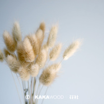  Natural jewelry bouquet color rabbit tail grass dried bouquet Natural air-dried flower dog tail grass Home decoration collocation