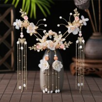 Xianqi costume jewelry Hanfu headdress Dragonfly hairclip ancient hair accessories female full set of accessories tassel step shake hairpin