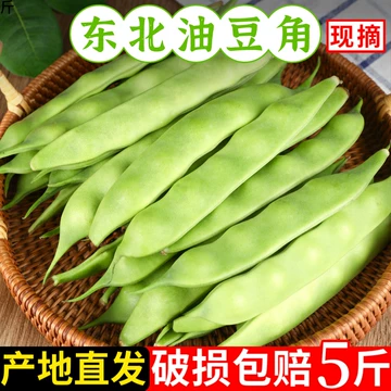 东北宽油豆角-东北宽油豆角促销价格、东北宽油豆角品牌- 淘宝