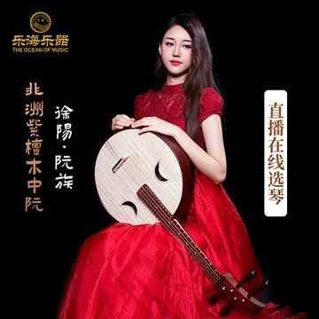 乐海中阮512z-乐海中阮512z促销价格、乐海中阮512z品牌- 淘宝