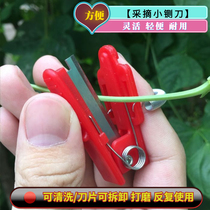 Finger picking Agricultural scissors Cucumber pinch tip Thumb knife Vegetable picking artifact Gardening orchard small guillotine ring knife