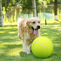 Big tennis signature 24cm inflatable tennis festival gift pet tennis 9 5 inch pet bite toy