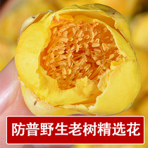 Zhengzong Guangxi Anti-City Port ten Wanshan Wild Gold Flower Tea Dry Cargo Level Anti-Dry Large Flower 30g1 Bottle