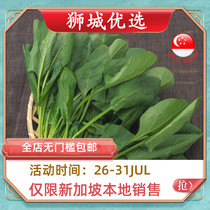 (Vegetable)Spinach 1kg Singapore local delivery