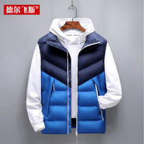 Autumn and winter mens Korean version of the trend vest waistcoat horse clip slim-fit handsome down cotton wild spirit guy jacket