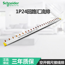  Schneider busbar imported from Germany 1P monolithic single-in-single-out 24-loop connection wiring copper bar