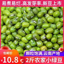 2 pounds of mung beans Farm-produced small mung beans summer mung bean soup freshly sprouted peeling peeled mung beans raw materials grains