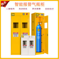  All-steel alarm cylinder cabinet Flammable products fireproof cabinet Laboratory hazardous gas storage cabinet Chemical cabinet Safety cabinet
