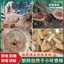 Camphor wood block wood strip Guangxi lobular red camphor anti-mold wood floor anti-insect deodorant natural incense sachet fragrance