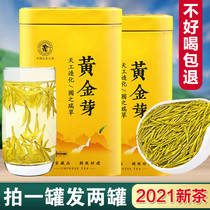 Authentic white tea Anji 2021 new tea special gift box bulk rare alpine Green Tea Gold Bud Tea