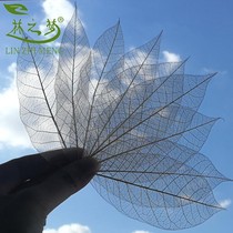 Rubber leaf vein dry leaf label bookmark diy pressed flower dried flower childrens handmade lighting immortal flower drop glue props
