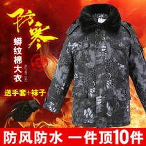 Camouflage coat mens winter thickened warm cotton coat cold Guard Army cotton coat cold storage security overalls northeast cotton jacket