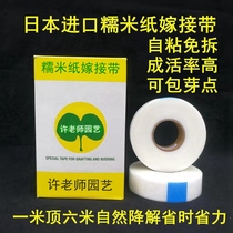 Glutinous rice paper grafting belt waterproof-free self-degradation self-degrading rose gold marbles fruit tree special glutinous rice film Xu teacher gardening