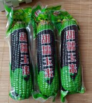Shanxi specialty new black corn ear black corn cob fresh sweet glutinous corn 220g * 10 vacuum corn
