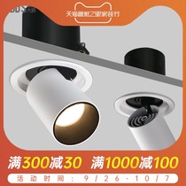 Pull telescopic spotlight led embedded rotating adjustable angle background wall painting porch high color elephant nose cob