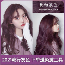 2021 popular female summer white black purple hair dye pure plant natural non-stimulating hair dye at home hair cream