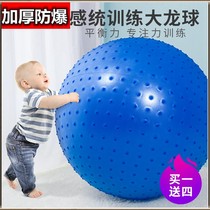 Yoga ball large thick explosion-proof childrens sensory training Big Dragon Ball baby early education vestibule environmental massage ball