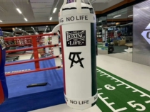 Avarez boxing sandbag hanging sandbag Sanda fighting martial arts fitness professional training equipment solid