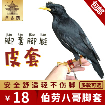 Xuanfeng little Sun monk starling Wren parrot anklet tied bird chain Anti-release buckle Ultra-light bird holster foot ring