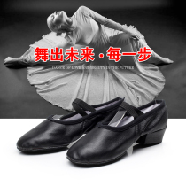 Jumping shoes practice shoes with national dancing shoes soft shoes fitness shoes leather teacher shoes dance belly dance