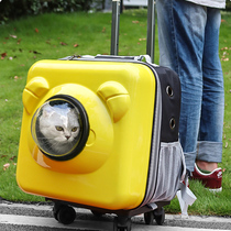 Pet cat bag out portable backpack summer backpack cat large capacity trolley case transparent space capsule supplies