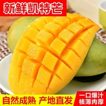 Sichuan Panzhihua Kate Big Mango