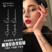 Hazelnut Honpo call god guard Herbal juice Tattoo sticker semi-permanent Harry Potter small fresh English Waterproof